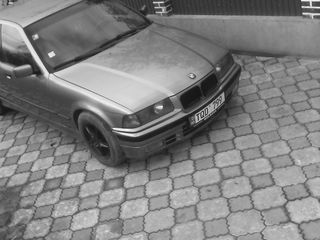 BMW 3 Series foto 4