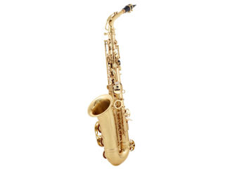 Saxofon alto Parrot 6430L acordat Mib foto 1