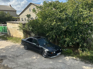 BMW 5 Series foto 7