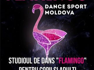 Dansul mirilor in Chisinau. Первый танец-обучение. Flamingo foto 3