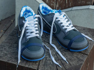 Nike SB Dunk Blue Lobster foto 5