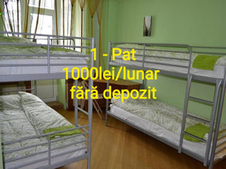 Apartament cu 1 cameră, 45 m², Telecentru, Chișinău foto 4