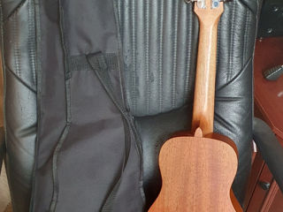 Ukulele Arrow MH-10 Natural Concert foto 1