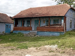 Casa bătrânească la Molovata фото 5