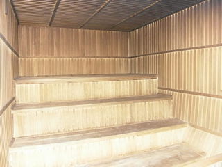 Vila Crinilor casa in chirie cu sauna si biliarde !!! foto 5