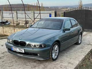 BMW 5 Series foto 4