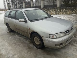 Nissan Primera foto 2