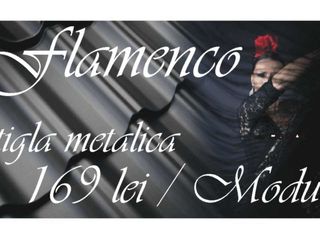 Tigla metalica 0.53mm flamenco 169 lei/modul 8017 mat, zink 275g/m2 foto 2