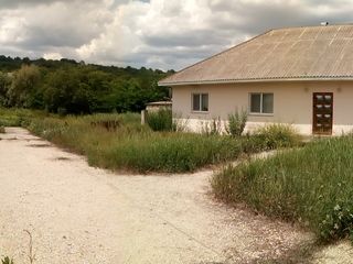 Călărași, casă 124 m2, teren 55 ari, iaz/lac 20 ari. foto 10