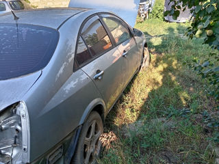 Nissan Primera foto 4