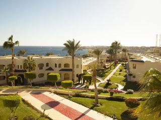Grand Oasis Resort 4*+,Sharm EL Sheikh. Бухта Sharks Bay-хороший риф! foto 4