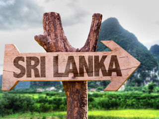 Наземные пакеты на остров Шри-Ланка! 7 ночей в августе!