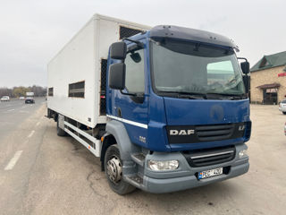 Daf LF 55