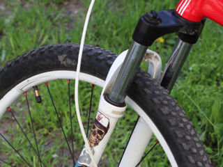 Specialized foto 3