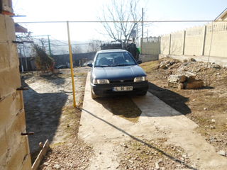 Nissan Sunny foto 1