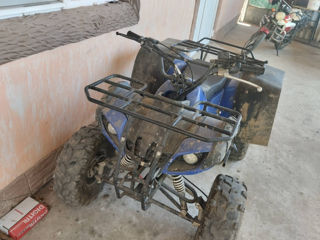 Benelli Atv