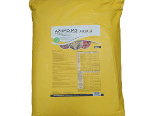 Azumo WG / Sulf 800 g/kg / Afepasa foto 3