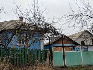 Продаю дом не дорого foto 2