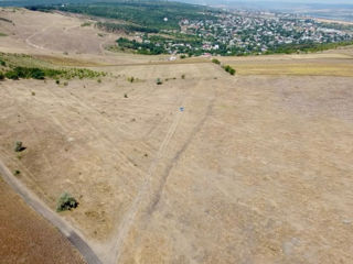 11 hectare consolidate Ialoveni s. Sociteni foto 3