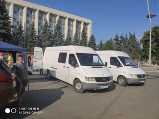 Transport hamali Chișinău