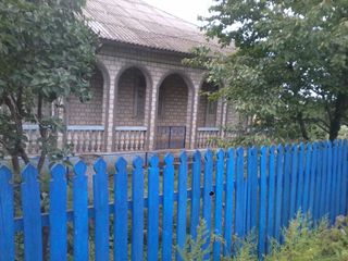 Urgent !!! Se vinde casa  cu sarai in satul Chetrosu, r-nul Drochia , pe linga casa sunt 40 soci. foto 3