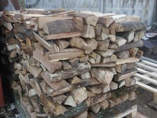 Lemn pentru foc si brichete.En- Gros. Livrare. Volume mari/ Дрова оптом. доставка foto 5
