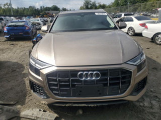 Audi Q8 foto 2