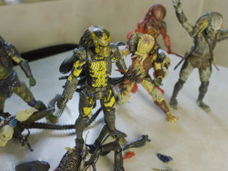Эксклюзивные Predator и Alien от NECA! foto 4