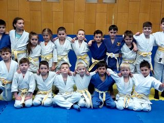 Judo Sambo Jiujitsu  de la 5 ani-50ani,Дзюдо Самбо от 5 лет foto 4