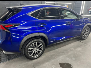 Lexus NX Series foto 4