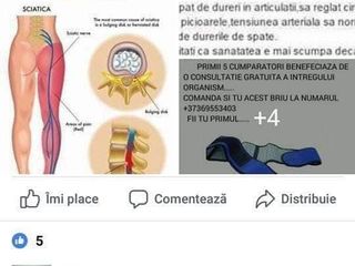 vertebrae anatomy