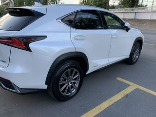 Lexus NX Series foto 5