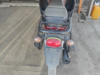 Alpha Moto CM110-2A фото 3