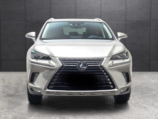 Lexus NX Series