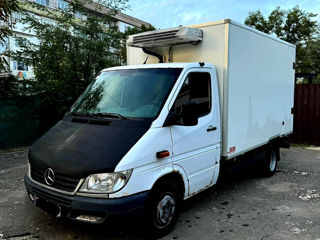 Mercedes Sprinter 413 CDI foto 6