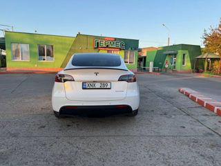 Tesla Model Y foto 4