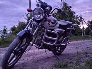 Alpha Moto RX foto 3