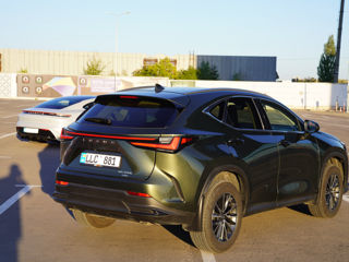 Lexus NX Series foto 6