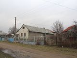 De vânzare! Продаю дом с большим участком в Максимовке 15 км от Кишинева! foto 4