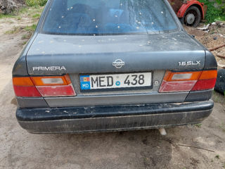 Nissan Primera foto 2