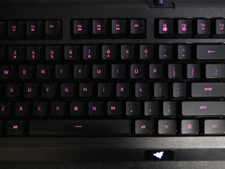 Клавиатура Razer Cynosa Lite 100% foto 8