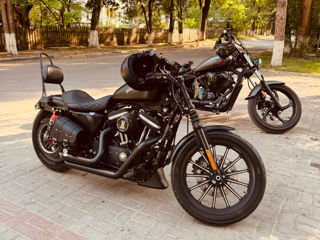 Harley - Davidson Iron 883 foto 3