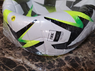 Minge Fotbal peofesionala foto 3