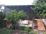 casa individuai linga botanica- dobrudja 2 nevel.  90m2/ дом дача в добрудже foto 5