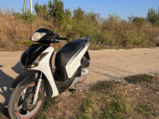 Honda SH foto 3