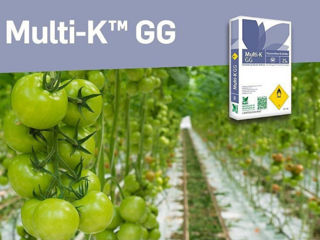 Multi-K GG / Nitrat De Potasiu / Haifa Chemicals Ltd. foto 2