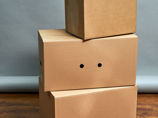 Упаковка/Картонные коробки и пленка foto 3