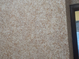 Vopseli decorative marakes vilvet,tapete, tencueli decorative,tavane finis laminat,tapete,si(umede) foto 10