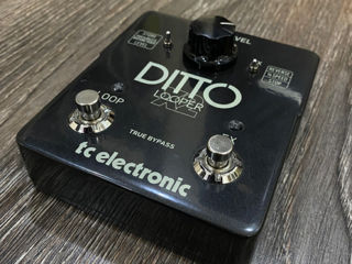 Tc Electronic Ditto X2 Looper foto 4