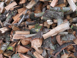 Дрова , lemne de foc, дрова с доставкой на дом,  дрова колотые foto 3